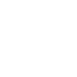 logo direccion